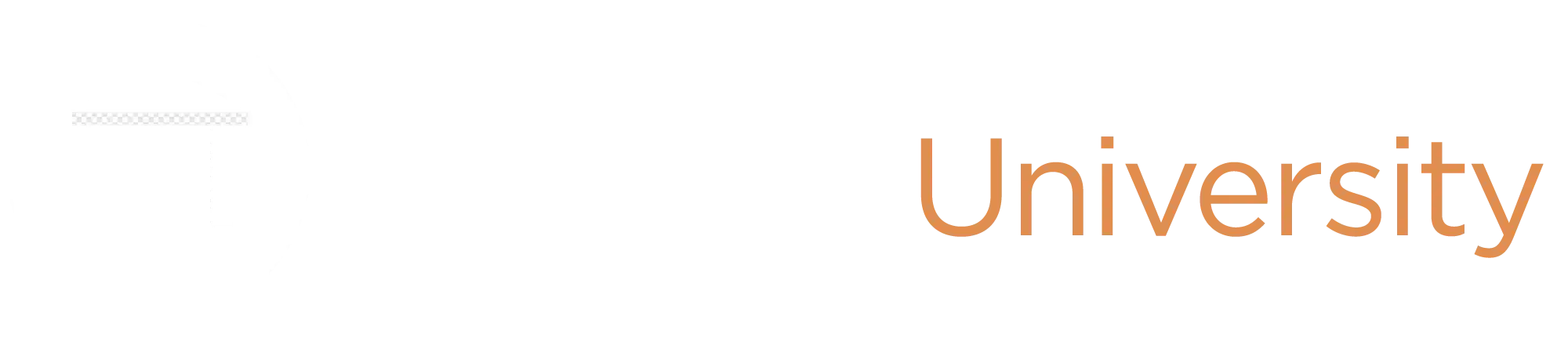 veridikal university